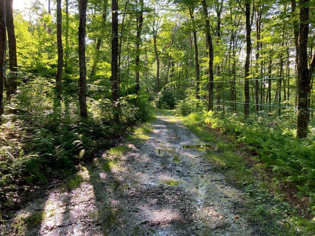 Érablière de 5,000 entailles clé-en-main | 3177965