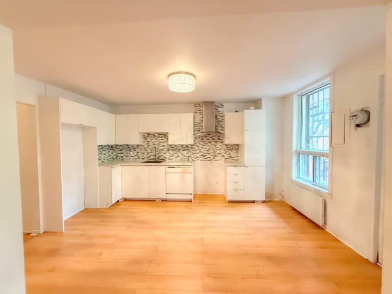 4 1/2 - Montréal (Centre-Sud) - 1 295 $/mois | 3155163
