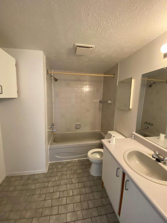 GRAND ET LUMINEUX 4.5 DISPONIBLE 1er FÉVRIER 2025 | 3155167