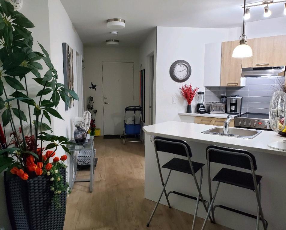 LOGEMENT 3½ BORD DU FLEUVE | 3165814