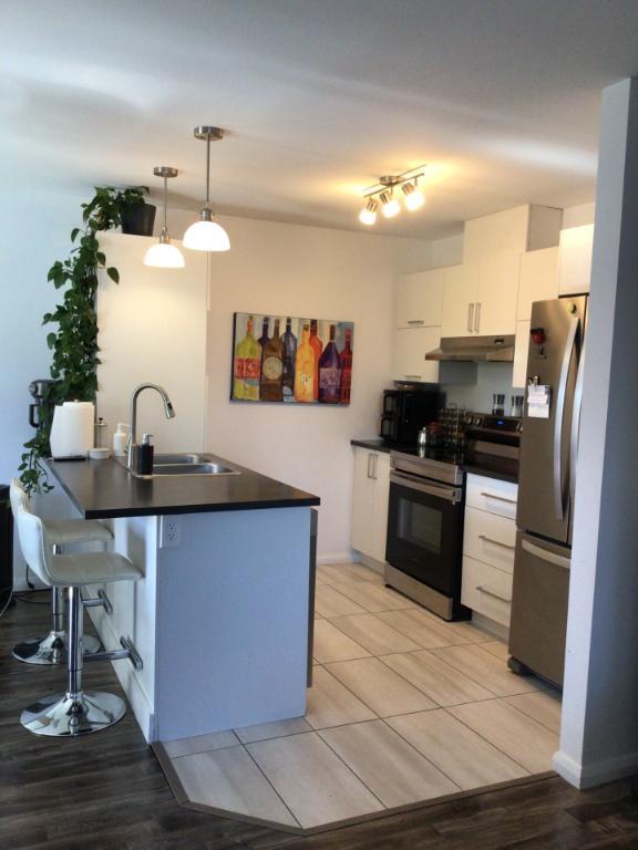 Grand 5 1/2 a louer St-Jérome, a partir du 1 décembre ou 1er janvier. Endroit tranquille avec locataires établies depuis plusieurs année. Parcs a roxi | 3155525