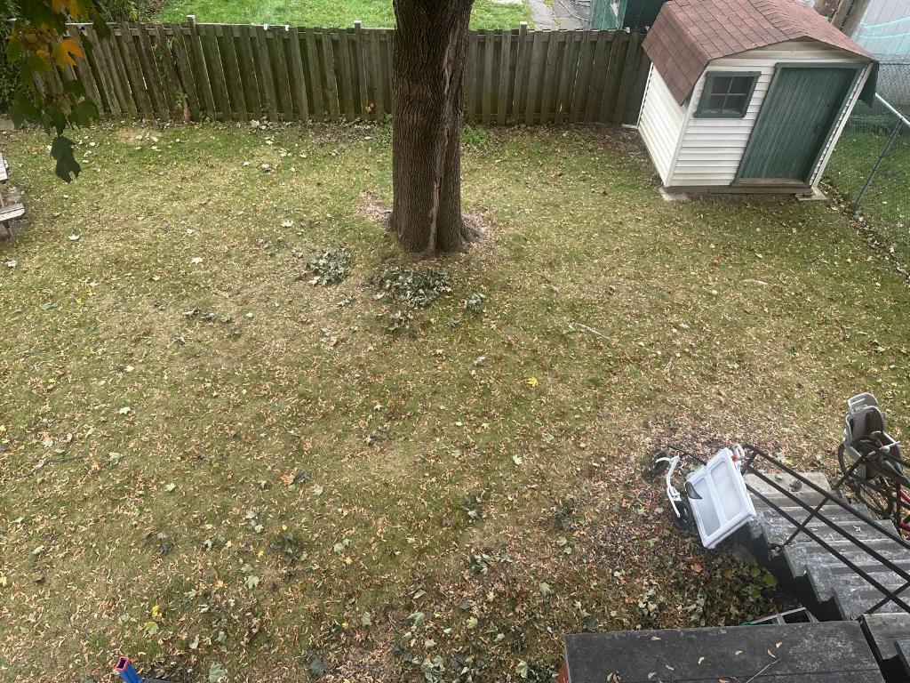 5 et 1/2 Villeray 1800$ chauffage inclus | 3155527