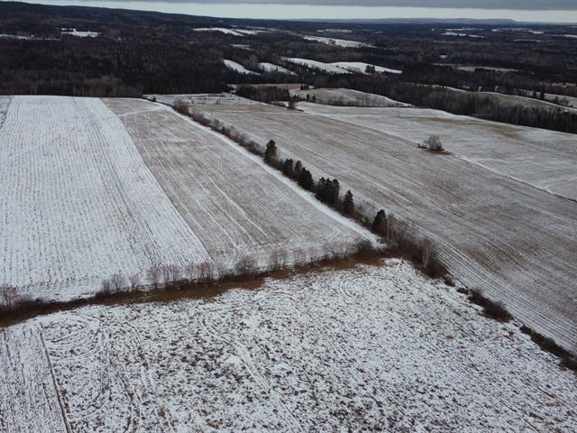 Terre à vendre à Caplan | 3155881