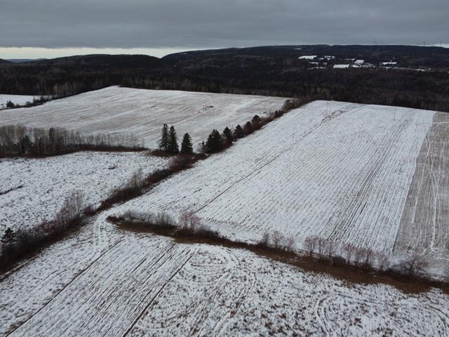 Terre à vendre à Caplan | 3155881