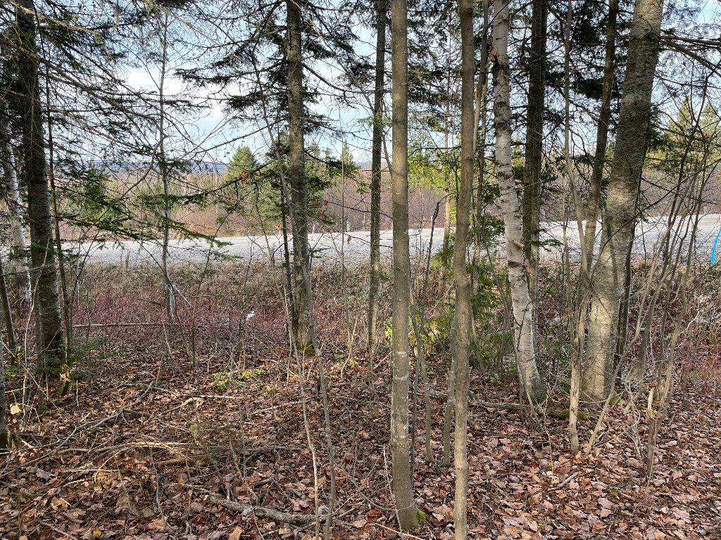 Grand terrain avec plus de 300 érables | 3178193