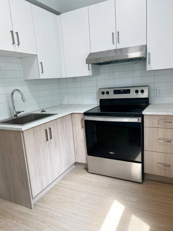 3 1/2 rénové sur la rue sainte catherine | 3157298