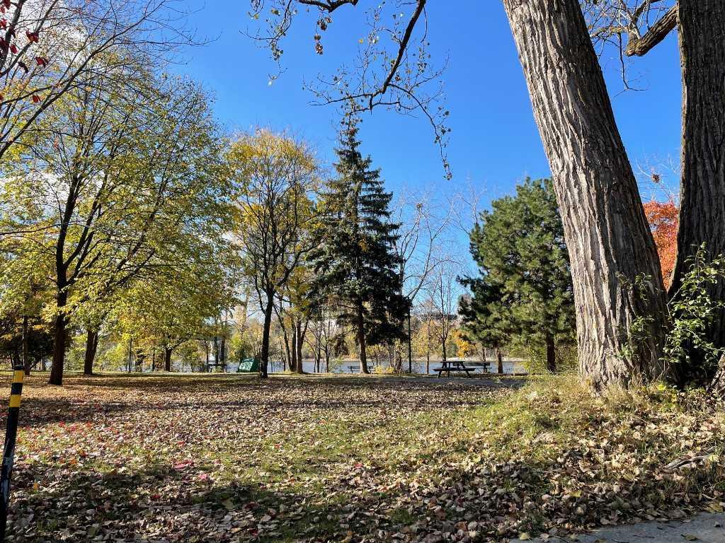 4,5 (1chambre) RÉNOVÉ dans un quartier Paisible - Libre Immédiatement | 3157307