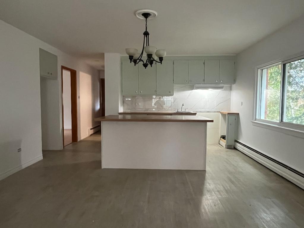 Grand 5 1/2 à louer - Chauffage et eau chaude inclus | 3157709