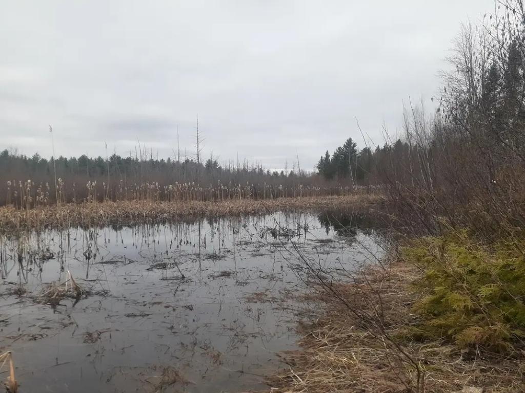 167000pi2 St-Calixte - Terrain - terre à bois pour chasse | 3160560