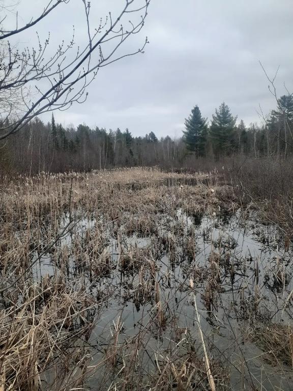 167000pi2 St-Calixte - Terrain - terre à bois pour chasse | 3160560