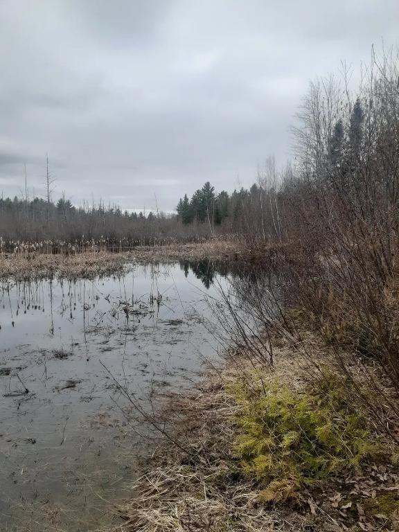 167000pi2 St-Calixte - Terrain - terre à bois pour chasse | 3160560