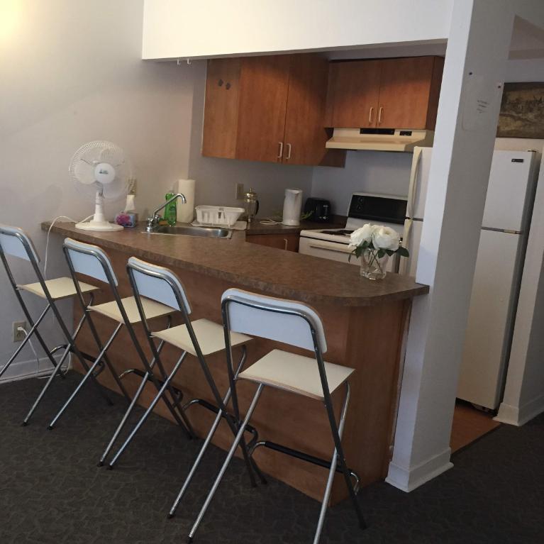 GHETTO MCGILL- 3 ½ RÉNOVÉ & MEUBLÉ – 1 CHAMBRE FERMÉE | 3159802