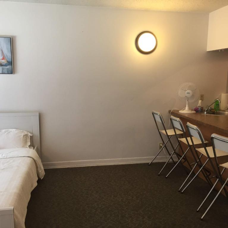 GHETTO MCGILL- 3 ½ RÉNOVÉ & MEUBLÉ – 1 CHAMBRE FERMÉE | 3159802