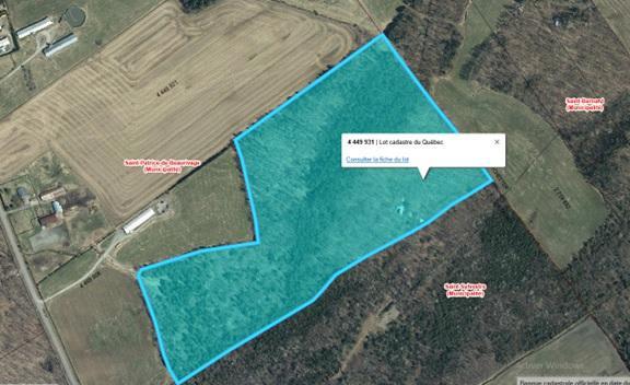 Érablière et terre à bois, Saint-Patrice-de-Beaurivage | 3160571