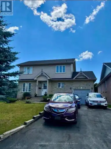 BSMT - 494 CODY CRESCENT | BSMT - 494 CODY CRESCENT, Newmarket | 3162467