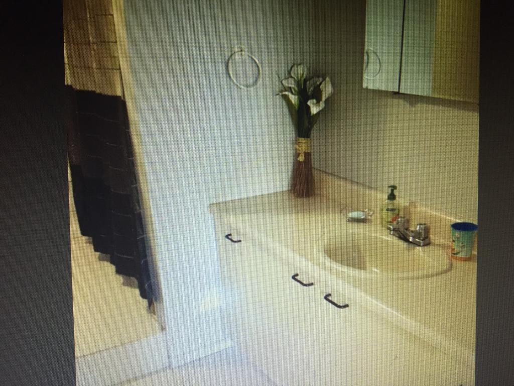 4 1/2 Cité de la Santé niveau terrasse | 3164180