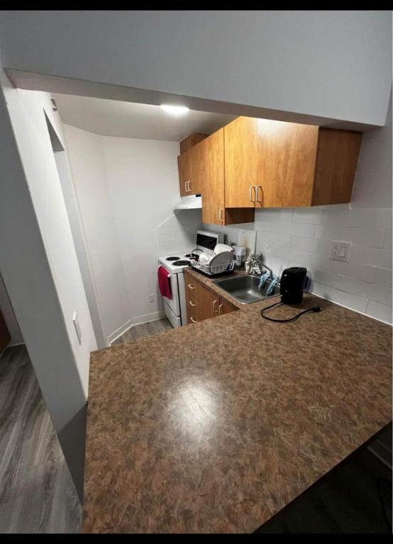 GHETTO MCGILL- STUDIO RENOVÉ & MEUBLÉ- EMPLACEMENT EXCEPTIONNEL | 3164200