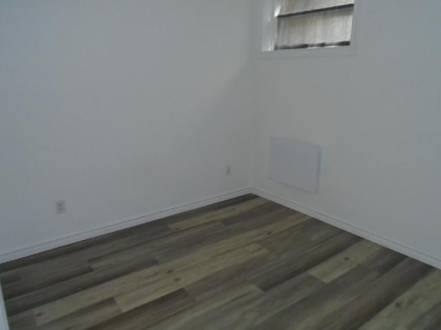 3 ½ rue Drapeau Montréal RÉNOVÉ LIBRE | 3164201