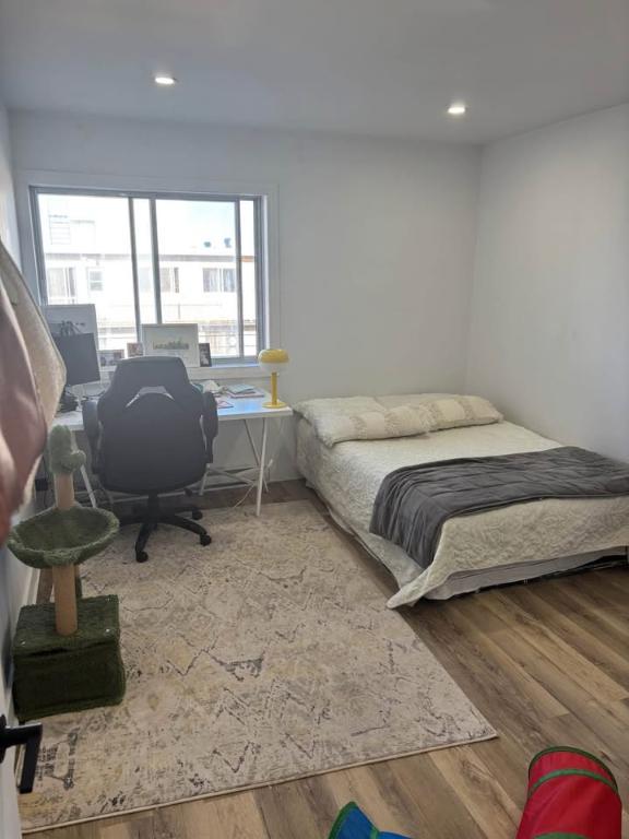 Appartement 1 chambre (3 et demi) - 1-bed apartment | 3164202