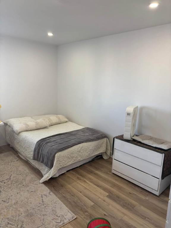 Appartement 1 chambre (3 et demi) - 1-bed apartment | 3164202