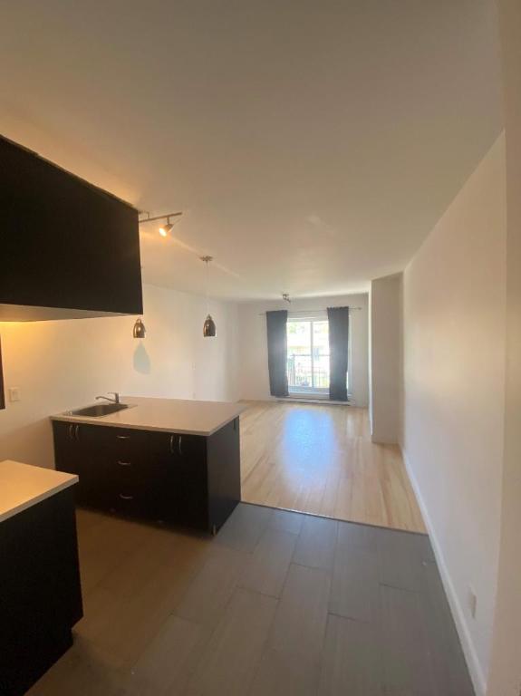 1 CH - 1 SDB - Montréal - $1,295 /mo | 3164209