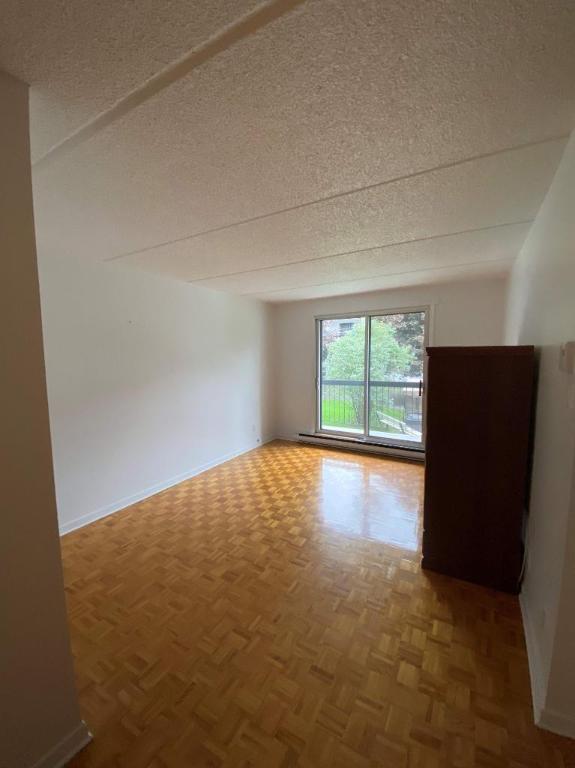 GRAND ET LUMINEUX 3.5 DISPONIBLE 1ER NOVEMBRE!! | 3164212