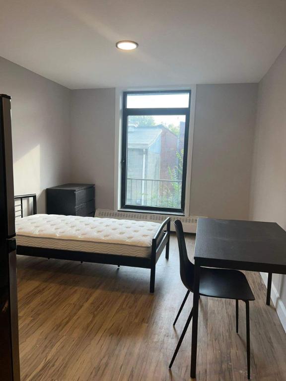 Studio - Montréal - $1,265 /mo | 3164605