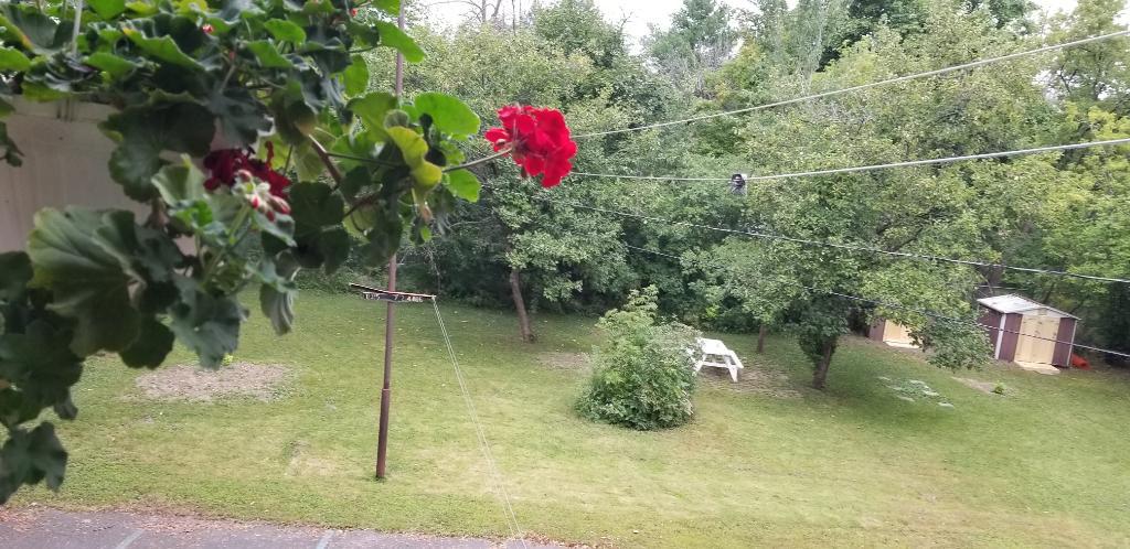 Perle Rare à Saint Lambert - Grand 3 1/2 Renové, entouré d'arbres et près du Village | 3164608