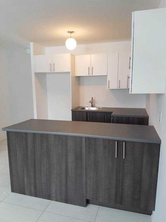 Perle Rare à Saint Lambert - Grand 3 1/2 Renové, entouré d'arbres et près du Village | 3164608