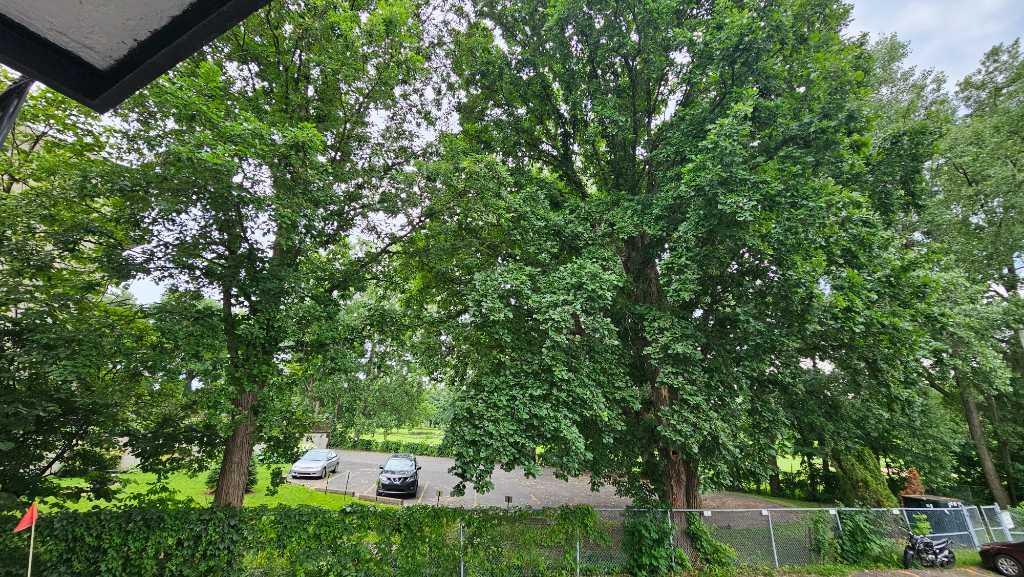 Lumineux, Vue sur le Golf, Tranquil & Chauffé 4 1/2 | 3164627