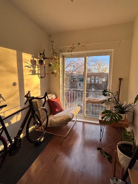 Cession de bail, grand 41/2 lumineux, Hochelaga | 3164864