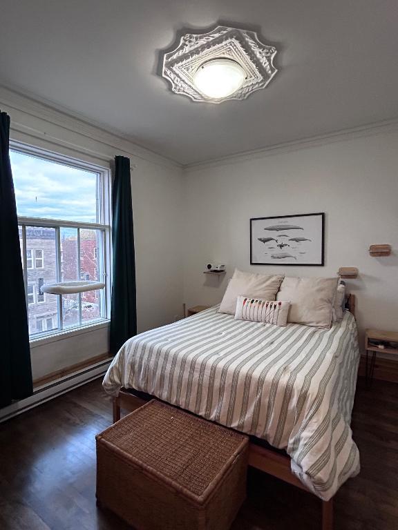 Cession de bail, grand 41/2 lumineux, Hochelaga | 3164864