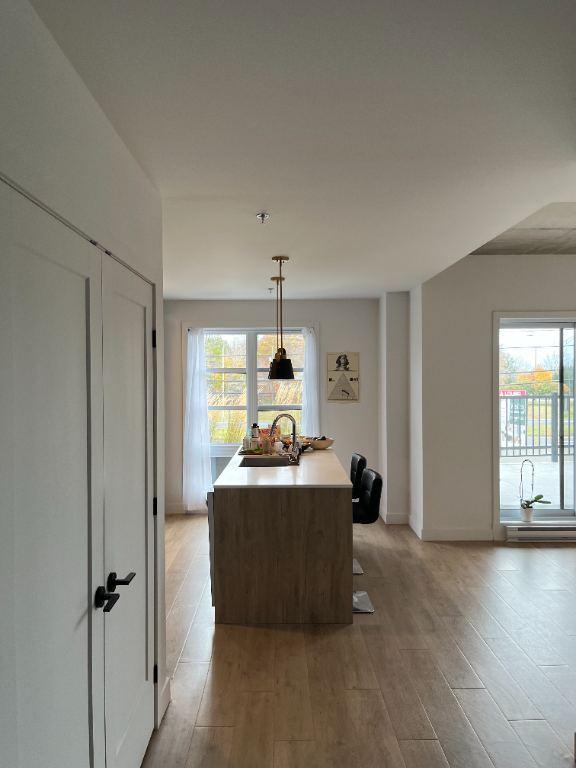 Grand 3 1/2 Mont-St-Hilaire 884pi2 | 3164871