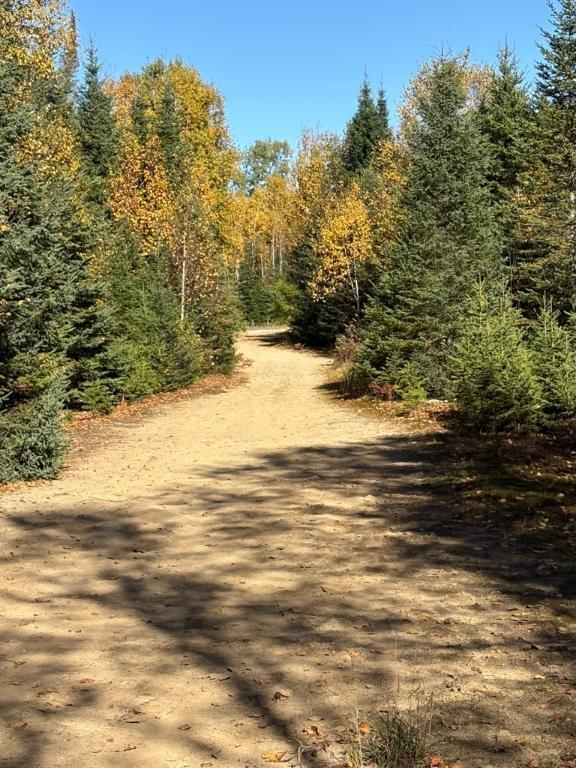 Terrain sur ruisseau St-Donat | 3166580