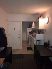 GHETTO MCGILL- 3 ½ RÉNOVÉ & MEUBLÉ – 1 CHAMBRE FERMÉE | 3165852