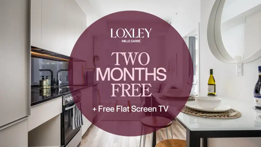 Loxley Mille Carré | 2061 rue Stanley, Montreal | 3165906