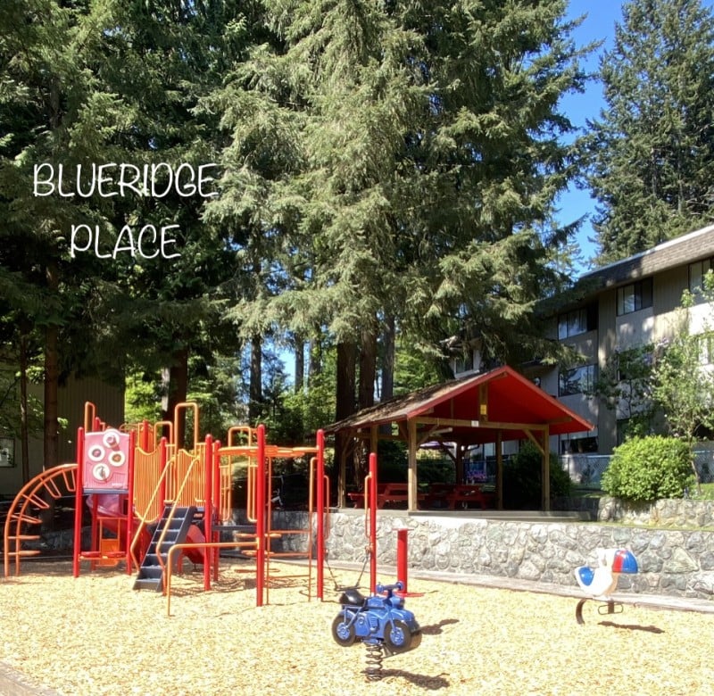 Blueridge Apartments | 3165956