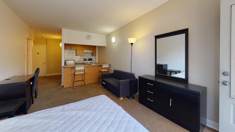 GHETTO MCGILL- 3 ½ RÉNOVÉ & MEUBLÉ – 1 CHAMBRE FERMÉE | 3166215