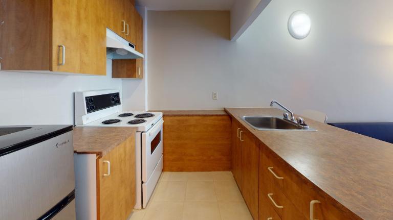 GHETTO MCGILL- 3 ½ RÉNOVÉ & MEUBLÉ – 1 CHAMBRE FERMÉE | 3166215