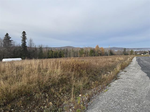 Grand Lac St-François, Lambton, Estrie. Beau grand terrain prêt à bâtir de 35 521pi.ca. Vue sur le lac, droit de plage et ACCÈS notarié au lac. | 3166593