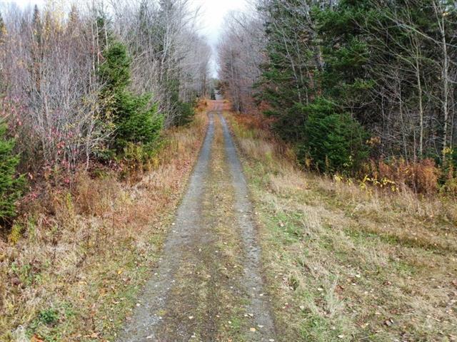 Ham-Sud (Estrie) : Terre à bois de 39 acres idéale pour la chasse, ruisseau, 45 min. de Sherbrooke | 3173830