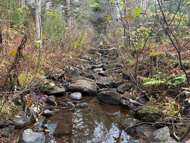 Ham-Sud (Estrie) : Terre à bois de 39 acres idéale pour la chasse, ruisseau, 45 min. de Sherbrooke | 3173830