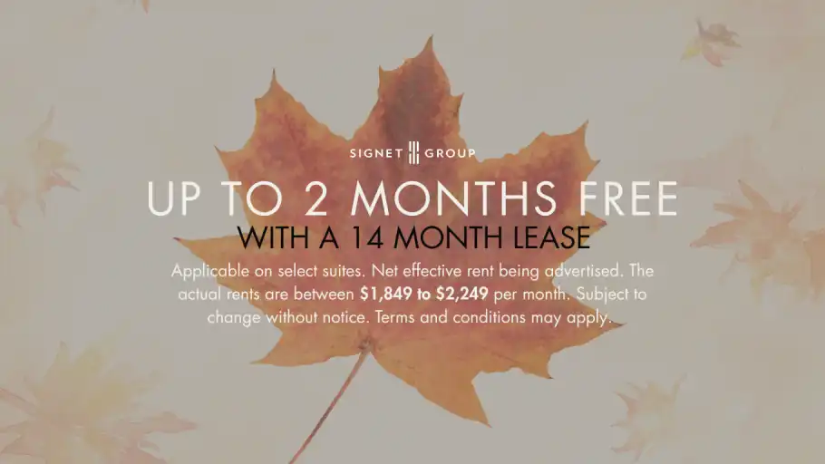 1251 King Street West | 1251 King Street West, Toronto | 3172335