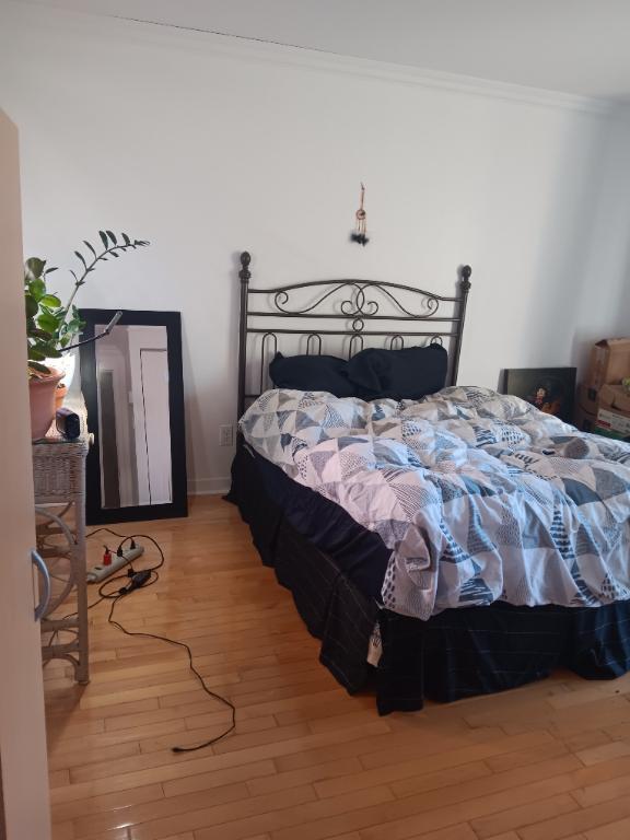 Chambre 1 1/2 acceptant 1 chat | 3172976
