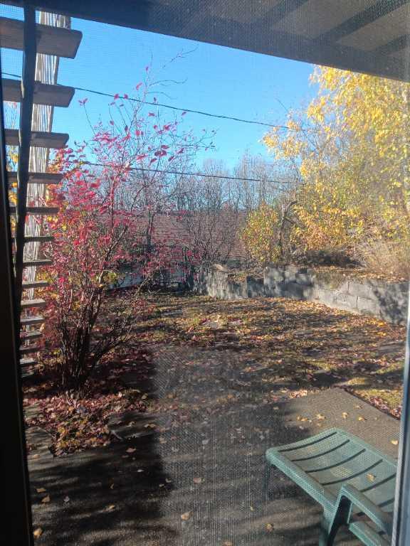 Chambre 1 1/2 acceptant 1 chat | 3172976