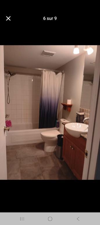 Chambre 1 1/2 acceptant 1 chat | 3172976