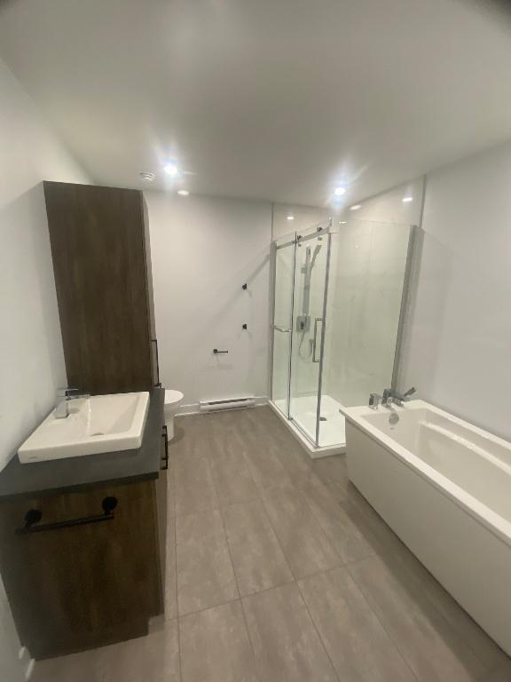 Grand 4 1/2 libre lumineux | 3173000