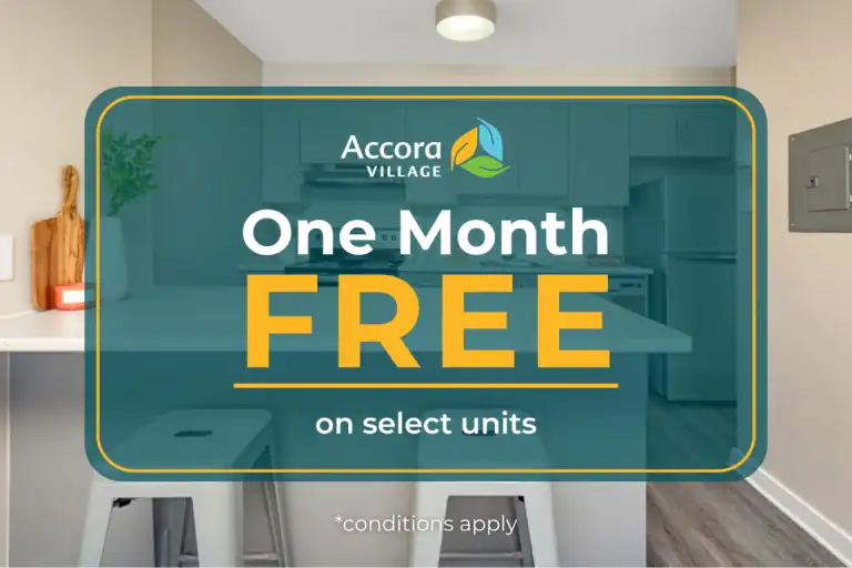 The Jasper | 15 Woodridge Crescent, Ottawa | 3173152