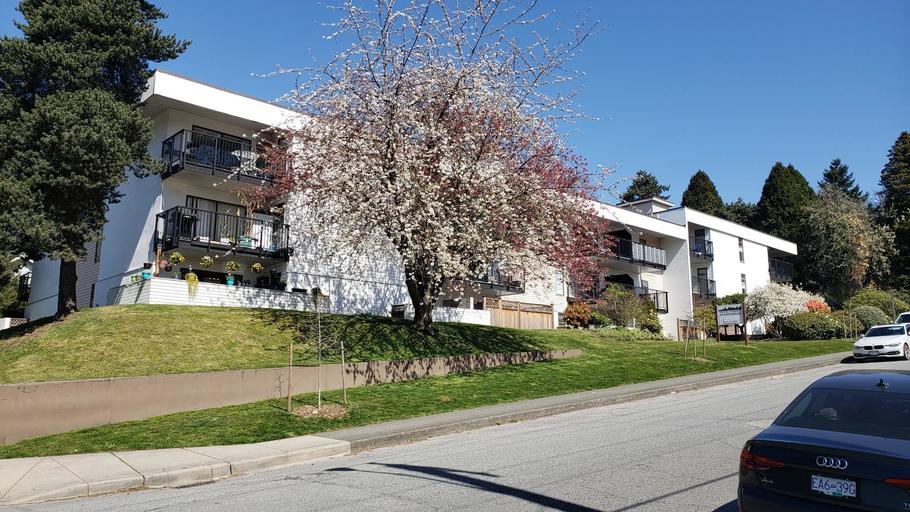 Royal Terrace Apartments | 1033 4th Avenue, New Westminster | 3173299