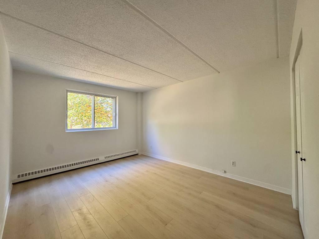 Grand appartement éclairé et chauffé | 3173478